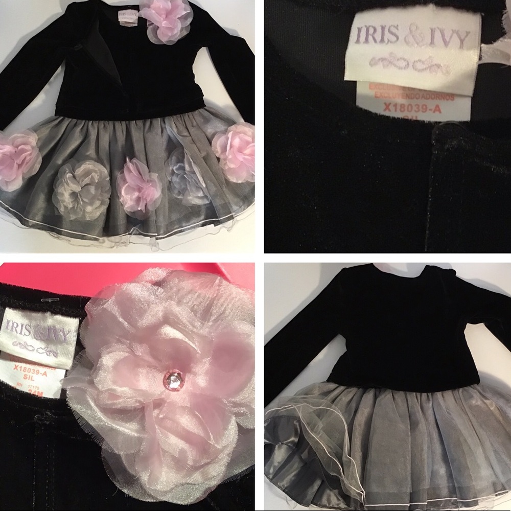 Iris & Ivy 24 month infant dress